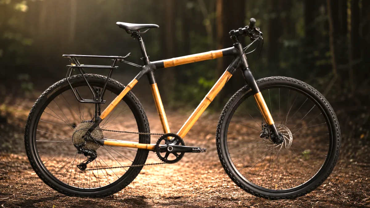 Bamboo vs Steel Commuter Bikes: Can Assam’s Eco-Cycle Compete?